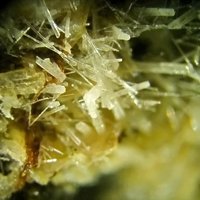 Kalsilite, Fluorapatite