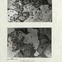 Paolovite, Pentlandite, Argentopentlandite