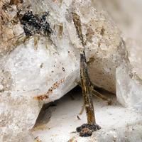 Aegirine, Nepheline