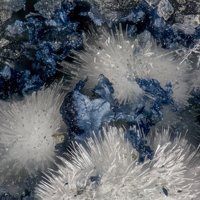 Raydemarkite, Ilsemannite