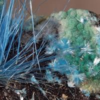 Camérolaite, Cyanotrichite Group, Parnauite