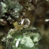 Caracolite