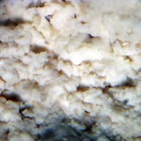 Magadiite
