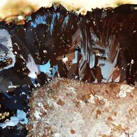 Safflorite, Rammelsbergite, Bismuth