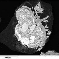 Jaipurite, Maucherite, Millerite