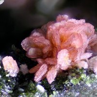 Talmessite, Cobaltaustinite, Erythrite