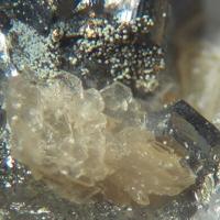 Cannonite, Bismuth, Muscovite