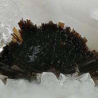 Rankachite