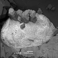 Calcioancylite-(Nd), Epidote, Fluorite