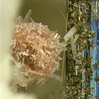 Calcioancylite-(Ce), Pyrochlore Group, Aegirine