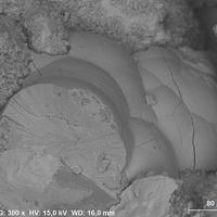 Calcioancylite-(Ce)