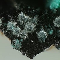 Carlhintzeite