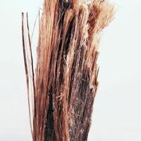 Balangeroite