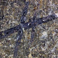 Kaersutite