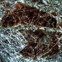 Lamprophyllite