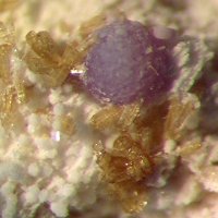 Jahnsite-(CaMnMn), Strengite