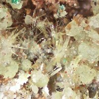 Rabbittite, Schröckingerite