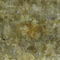 Jasonsmithite, Albite