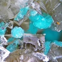 Takovite