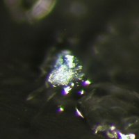 Paceite