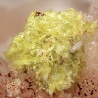 Carlhintzeite