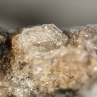 Umbite