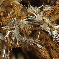 Cannonite, Quartz