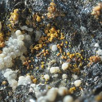 Jarosite, Apatite, Delvauxite