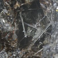 Kalsilite