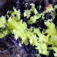 Sabugalite