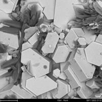 Abellaite, Calcite