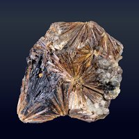 Lamprophyllite