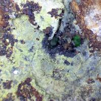 Barahonaite-(Fe), Conichalcite