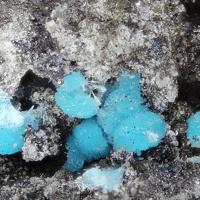Caledonite