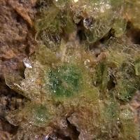 Abernathyite, Heinrichite