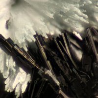 Packratite, Pharmacolite