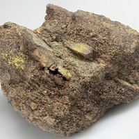 Carnotite