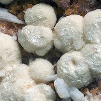 Caryopilite, Kutnohorite