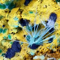 Agardite-(Y)