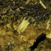 Uranopilite, Uraninite
