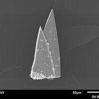 Calcioancylite-(Ce)