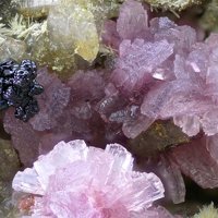 Talmessite, Heterogenite, Aragonite