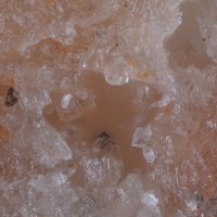 Kalicinite