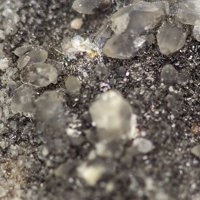 Quenselite, Calcite, Braunite