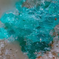 Salesite