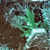 Ulrichite
