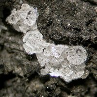 Ravatite