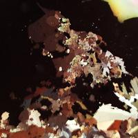 Baumstarkite, Miargyrite, Diaphorite