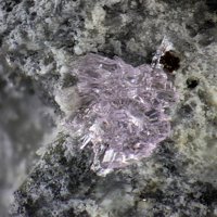 Sainfeldite