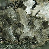 Umbite